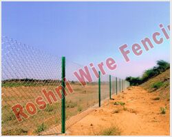 Chain Link With Jali