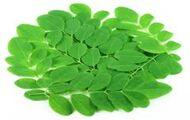 Moringa Oleifera Leaves