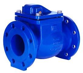 Swing Check Valve