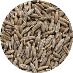 Cumin