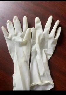 Plain Latex Sterile Surgical Gloves, Size : 7 Inch, 7.5 Inch 8 Inch