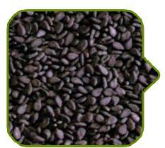 Black Sesame Seed