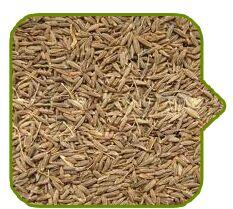 Cumin