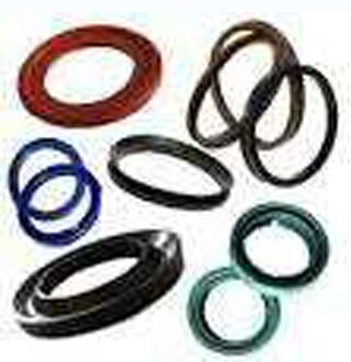 Rod Seals