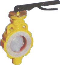 Teflon Lined Butterfly Valve