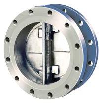 Dual Plate Check Valve