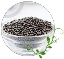 Mustard seeds, Shelf Life : Up To 2 Years When Stored Properly.