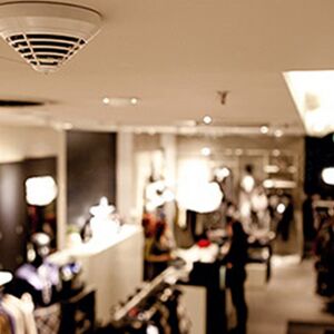 Intrusion and Fire Alarm Systems