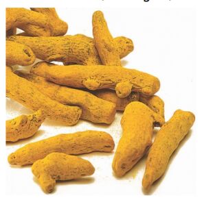 Organic Turmeric Finger, Feature : Anti-Diabetic, Long Shelf Life