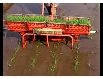 Manual 4 Row Rice Trans Planter