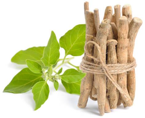 Brown Ashwagandha Roots, For Herbal Products, Style : Dried