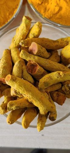 Natural Rajapuri Turmeric Stick, For Cooking, Spices, Food Medicine, Cosmetics