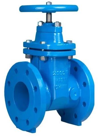 Cast Iron Sluice Valve, Size : 50 Mm