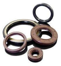 Oil Seals