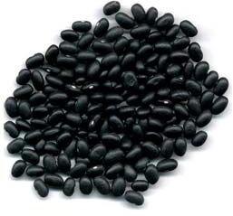 Black Kidney Beans