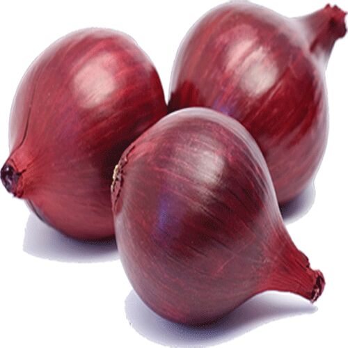 Natural Red Onion, For Cooking, Packaging Type : Bag