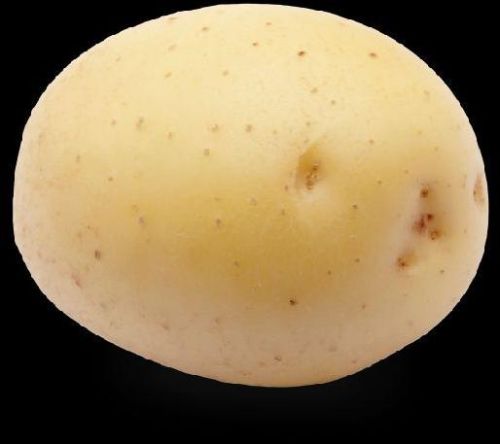 Potato's Plain Fresh Potato, Feature : Eco Friendly