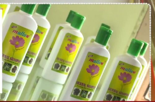 Mallow Herbal Shampoo, Feature : Keeps Hair Strong