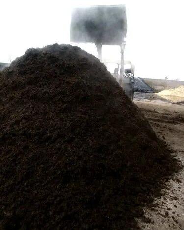 Button Mushroom Compost, Packaging Type : Loose