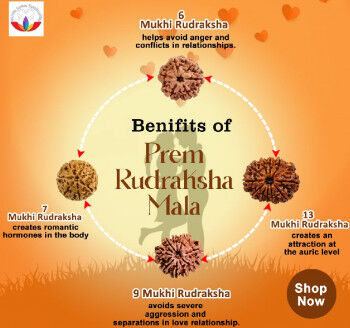 Rudraksha Mala, Size : Standard