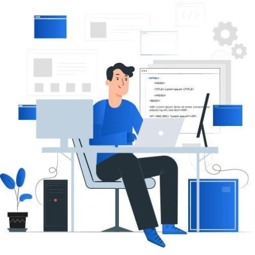 Website Design and Development Services