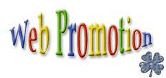 Website Promotion Services
