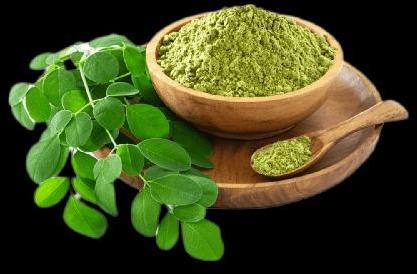 Organic Moringa Leaf Powder, For Medicinal Use, Packaging Size : 10Kg