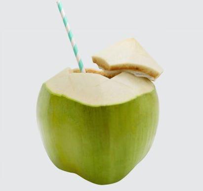 Tender Coconut, Coconut Size : Large