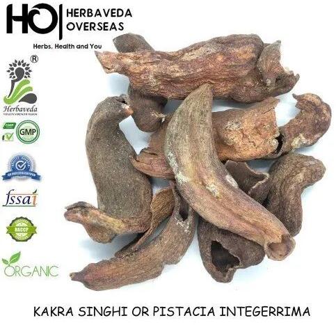 Kakra Singhi Pistacia Integerrima, Packaging Type : Bag