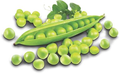 Green peas, Application : Cooking