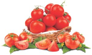 Tomato Puree