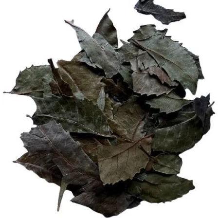 Neem Leaf Dried, Packaging Type : Bag