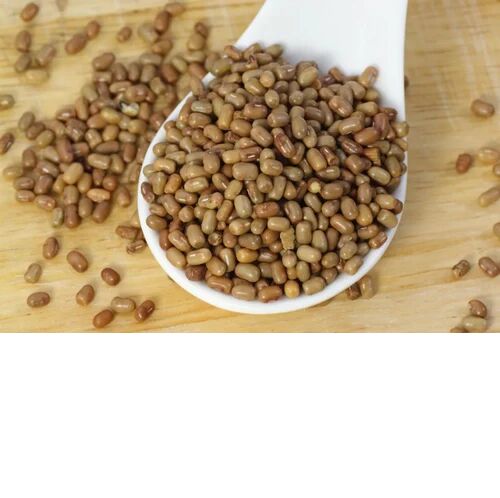 Organic Whole Moth Dal, Packaging Type : Loose