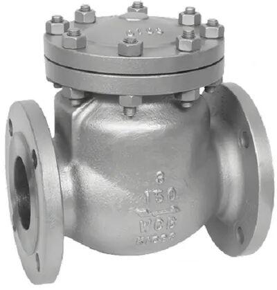 Stainless Steel Leader Check Valve, Color : Grey