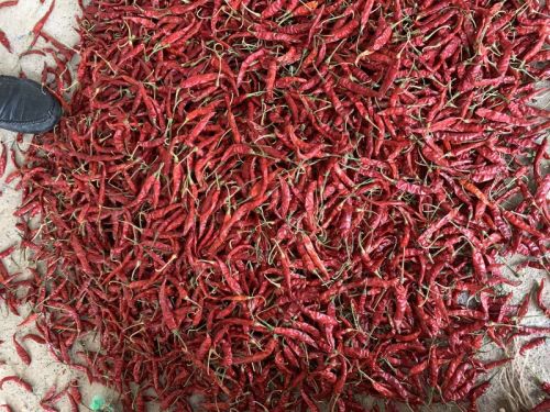 Red Chilli, For Cooking, Spices Human Consumption, Making Pickles, Human Consumption, Culinary, Medicinal