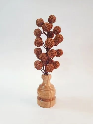 Brown Round Wood Rudraksha Tree, For Gifting, Size : 8.5 X 42 X 40 Cm