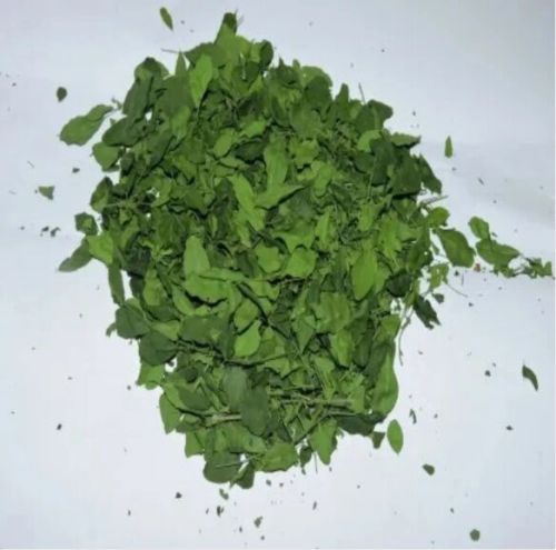 Organic Moringa Dried Leaves, Packaging Type : Loose