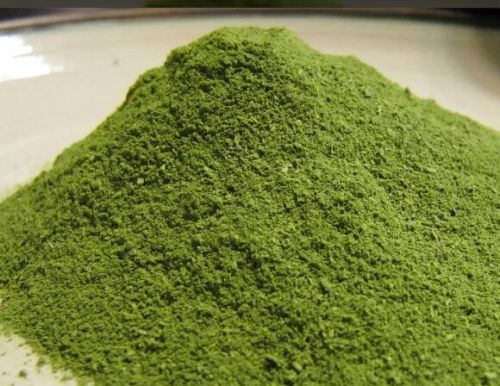 Organic Moringa Leaves Powder, For Medicinal Use, Packaging Size : 25 Kg