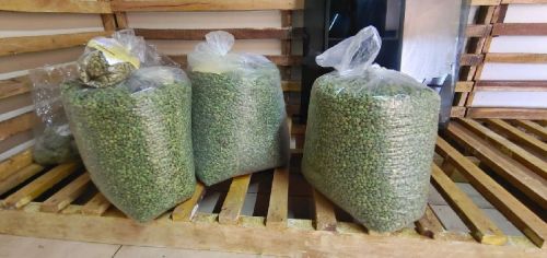 Raw Polished Common Green Cardamom, For Food Medicine, Spices, Cooking, Certification : FSSAI Certified