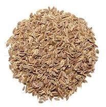 Dill Seed Essential Oil