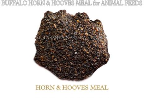 Hoof and Horn Meal, Packaging Type : PP Bag