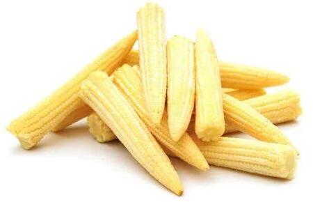 Baby Corn, Packaging Type : Plastic Bag