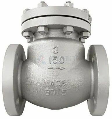 Stainless Steel Leader Check Valve