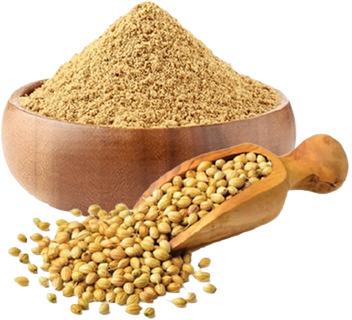 Raw Coriander Powder