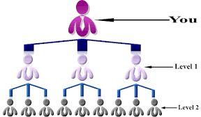 Erp software development