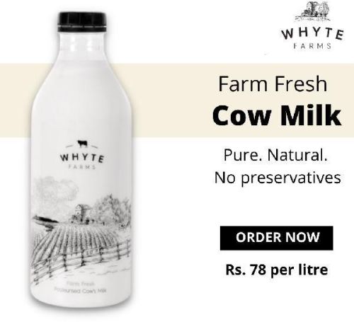 Organic Cow Milk