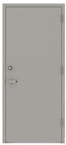 Grey Hinged Polished Plain Stainless Steel Door, For Home, Office, Shape : Rectangular