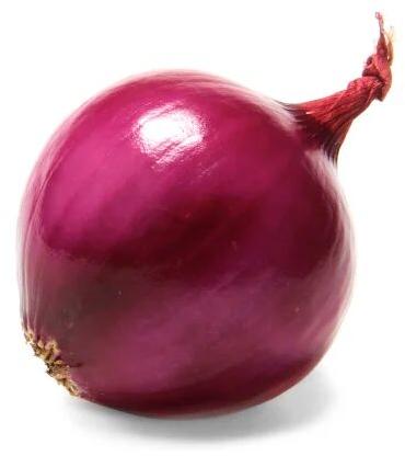 Organic Red Onion, For Food, Onion Size Available : Medium