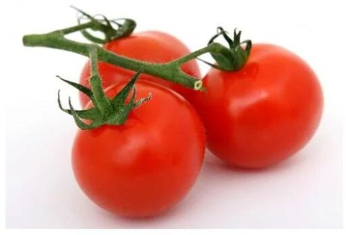 Organic Tomato, Packaging Type : Loose