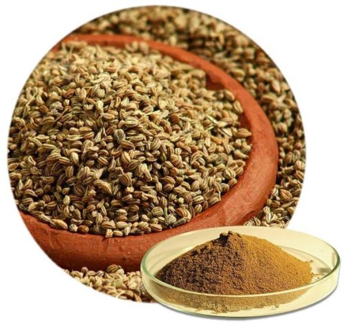 Light Brown Ajwain Powder, For Cooking, Spices, Packaging Size : 25kg 50kg